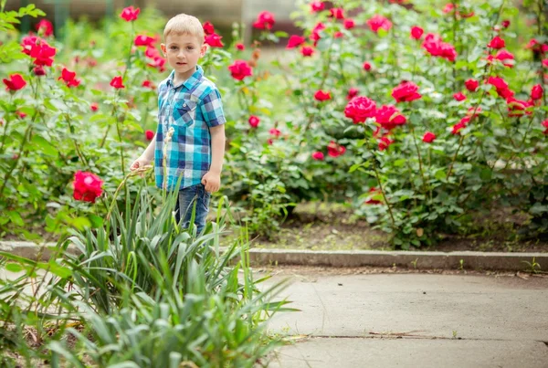 Junge im Sommergarten — Stockfoto