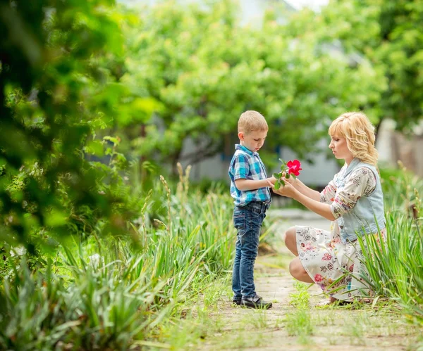 Donna incinta con giovane figlio in giardino — Foto Stock