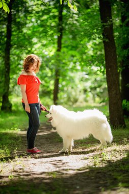 Samoyed köpek doğurmak parkta kadınla