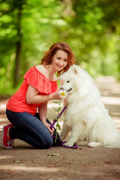 Kvinna med samojed hund rasen i parken — Stockfoto