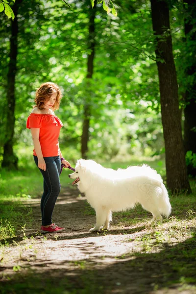 Mujer con raza de perro Samoyedo en el parque —  Fotos de Stock