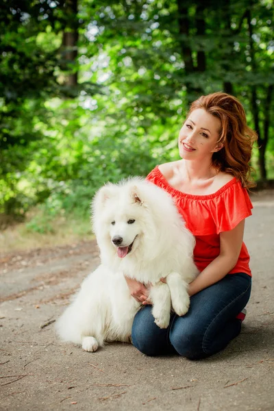 Samoyed köpek doğurmak parkta kadınla — Stok fotoğraf