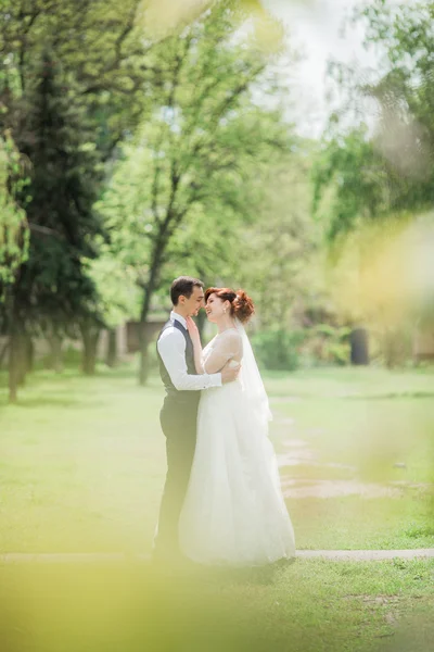 Bride and groom on their wedding day — Stock Photo, Image