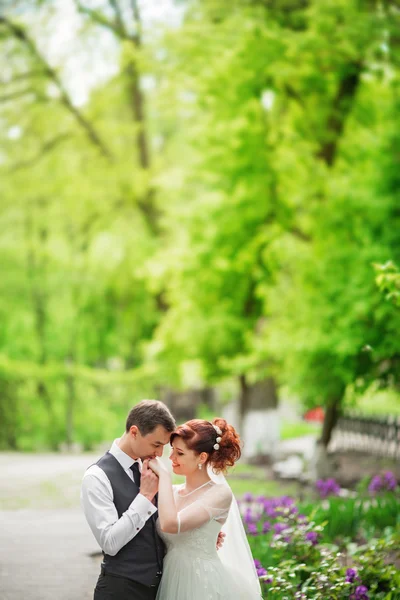 Bruid en bruidegom op hun trouwdag — Stockfoto