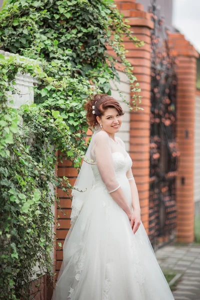 Schöne Braut im weißen Kleid — Stockfoto