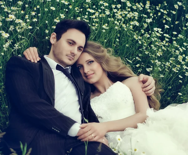 Gelin ve damat düğün gününde — Stok fotoğraf