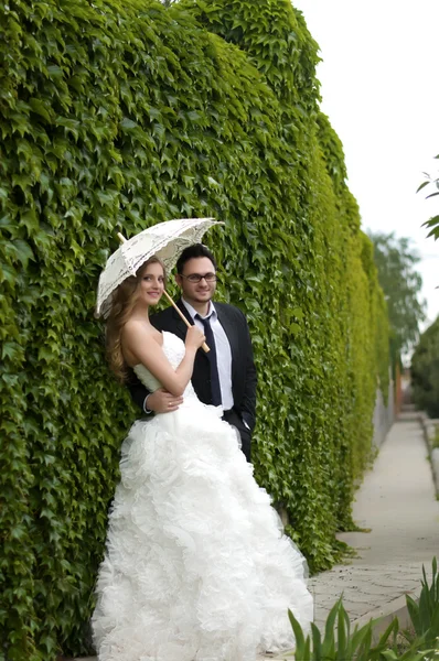 Sposa e sposo il giorno del loro matrimonio — Foto Stock