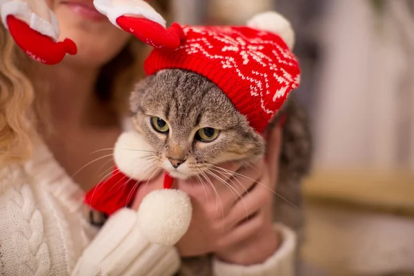 Katze in der Mütze des Weihnachtsmanns — Stockfoto
