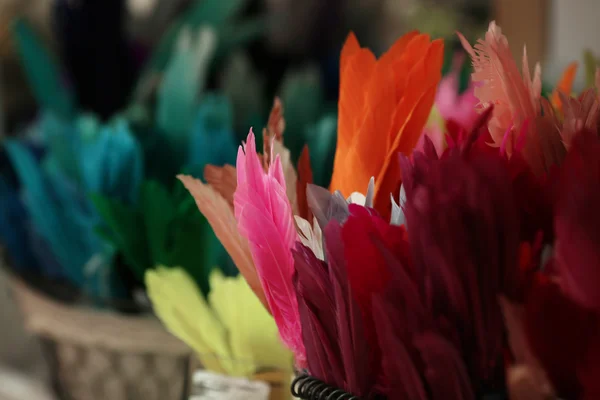 Federn in verschiedenen Farben — Stockfoto