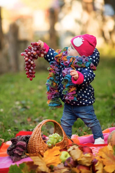 Kleines Mädchen mit Trauben — Stockfoto