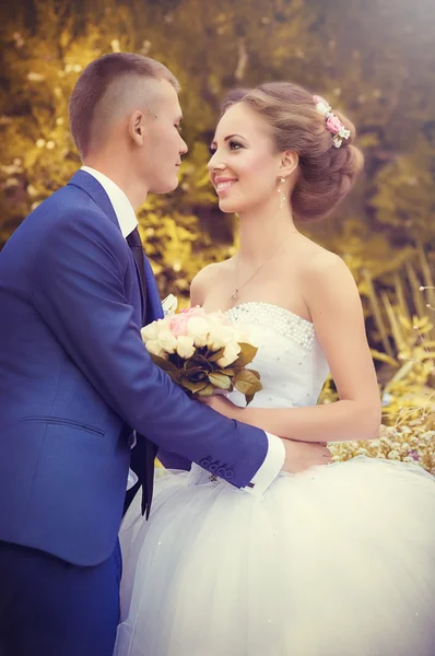 Beautiful bride and groom — Stock Photo, Image