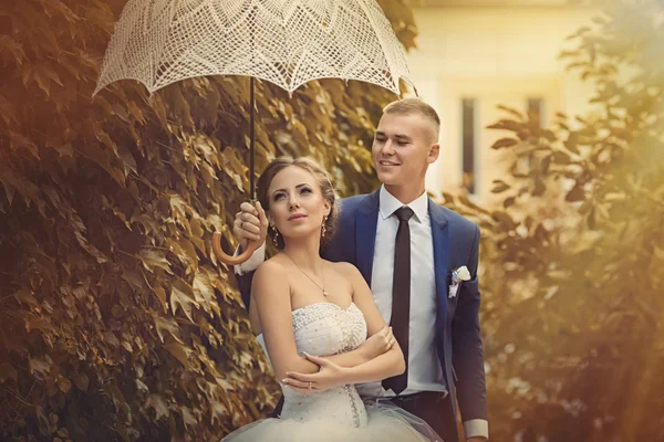 Bela noiva e noivo — Fotografia de Stock