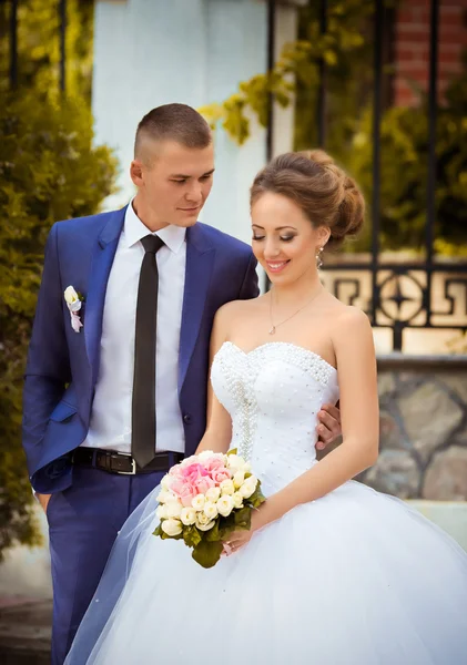 Beautiful bride and groom — Stock Photo, Image