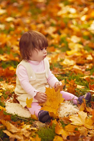 Маленькая девочка в осеннем лесу — стоковое фото