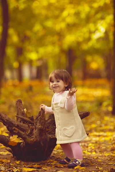 Meisje in het herfstbos — Stockfoto