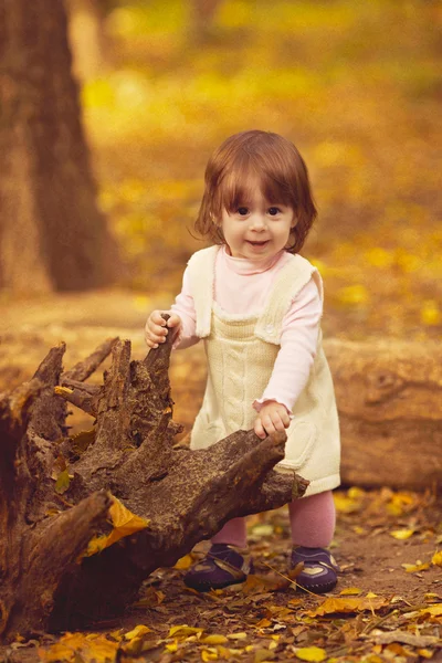 Bambina nella foresta autunnale — Foto Stock