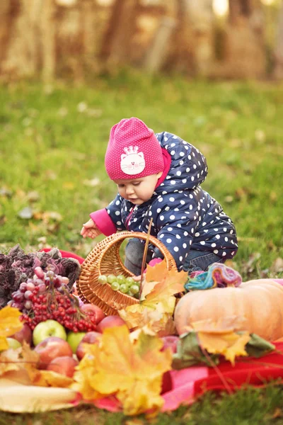 Little girl in the beauty park — Stock Photo, Image