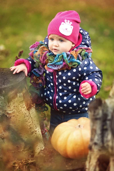 Malá holčička v krásy parku — Stock fotografie