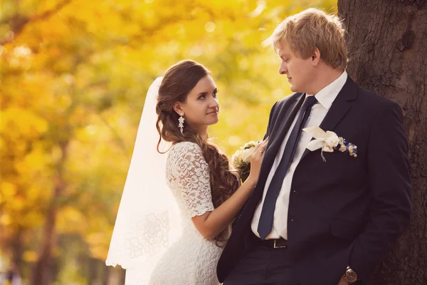 Braut und Bräutigam am Hochzeitstag — Stockfoto