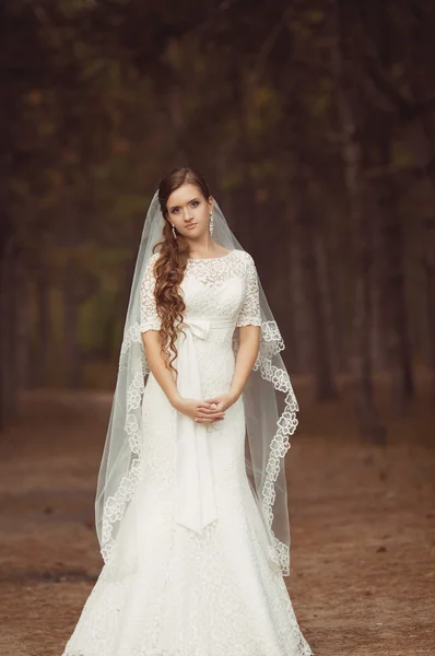 Nevěsta s v bílých šatech — Stock fotografie