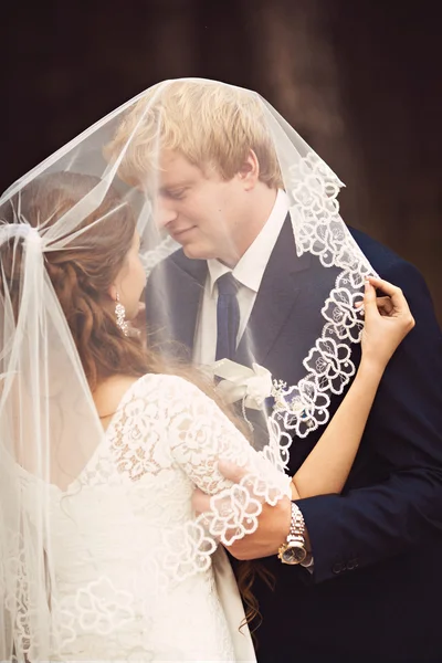 Novia y novio en el día de su boda —  Fotos de Stock