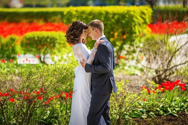 Noiva e noivo em seu dia de casamento — Fotografia de Stock