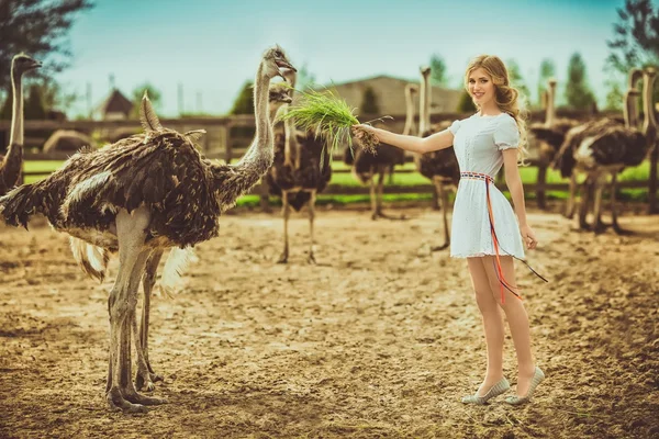 Meisje en struisvogels in het beschermde park — Stockfoto