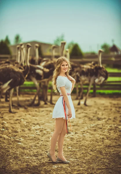 Meisje en struisvogels in het beschermde park — Stockfoto