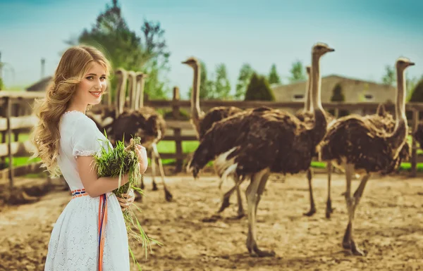 Menina e avestruzes no parque protegido — Fotografia de Stock