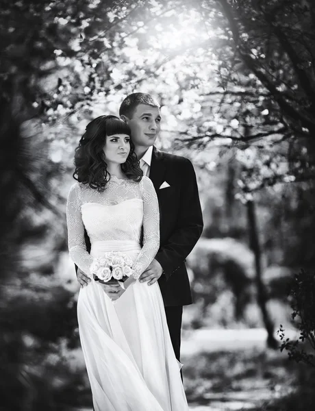 Bride and groom on their wedding day — Stock Photo, Image