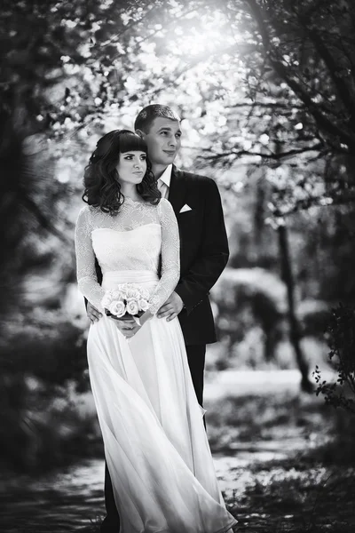 Bride and groom on their wedding day — Stock Photo, Image