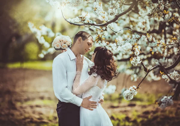 Noiva e noivo em seu dia de casamento — Fotografia de Stock