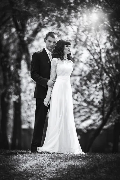 Noiva e noivo em seu dia de casamento — Fotografia de Stock