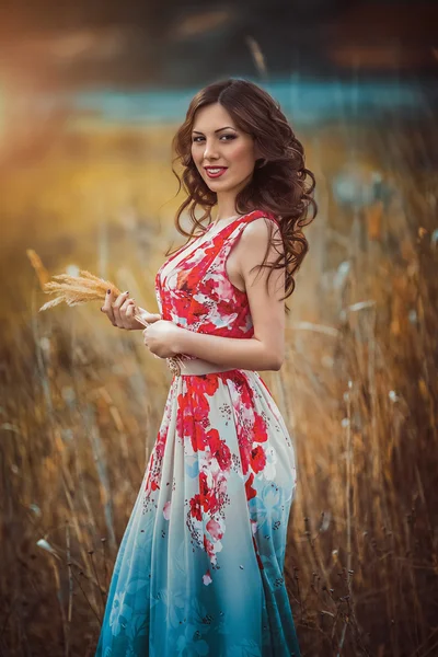 Mujer en vestido largo al aire libre —  Fotos de Stock