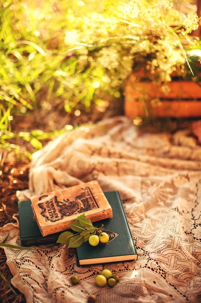 Manzanas y montón de libros — Foto de Stock