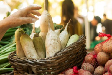 Çiftçi pazarından yeşillik alan yaşlı bir kadının elini kapat. Olgun Kadın Müşteri Dükkanı 'ndan alışveriş yapıyor. Kapatın. Dizinin bir parçası.