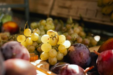 Küçük şehir pazarında taze sebzeler. Organik ürünler açık pazarda satılıyor. Taze ekin ve sebze hasadı satıyorum. Avrupa şehir merkezi. Kapatın. Dizinin bir parçası.