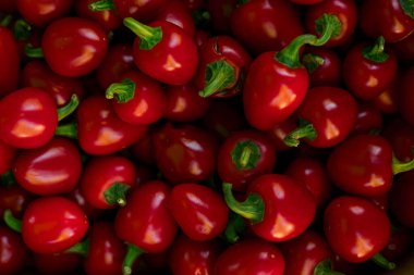 Küçük şehir pazarında taze sebzeler. Organik ürünler açık pazarda satılıyor. Taze ekin ve sebze hasadı satıyorum. Avrupa şehir merkezi. Kapatın. Dizinin bir parçası.