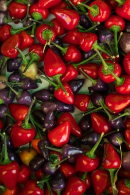 Küçük şehir pazarında taze sebzeler. Organik ürünler açık pazarda satılıyor. Taze ekin ve sebze hasadı satıyorum. Avrupa şehir merkezi. Kapatın. Dizinin bir parçası.