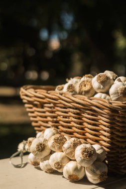 Küçük şehir pazarında taze sebzeler. Organik ürünler açık pazarda satılıyor. Taze ekin ve sebze hasadı satıyorum. Avrupa şehir merkezi. Kapatın. Dizinin bir parçası.