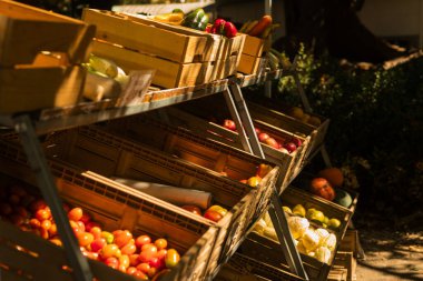 Küçük şehir pazarında taze sebzeler. Organik ürünler açık pazarda satılıyor. Taze ekin ve sebze hasadı satıyorum. Avrupa şehir merkezi. Kapatın. Dizinin bir parçası.