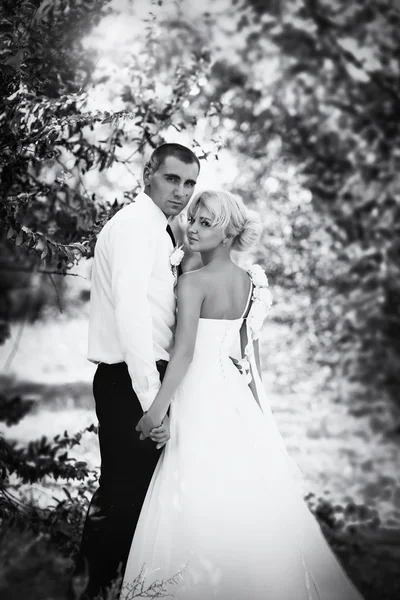 Bride and groom on their wedding day — Stock Photo, Image