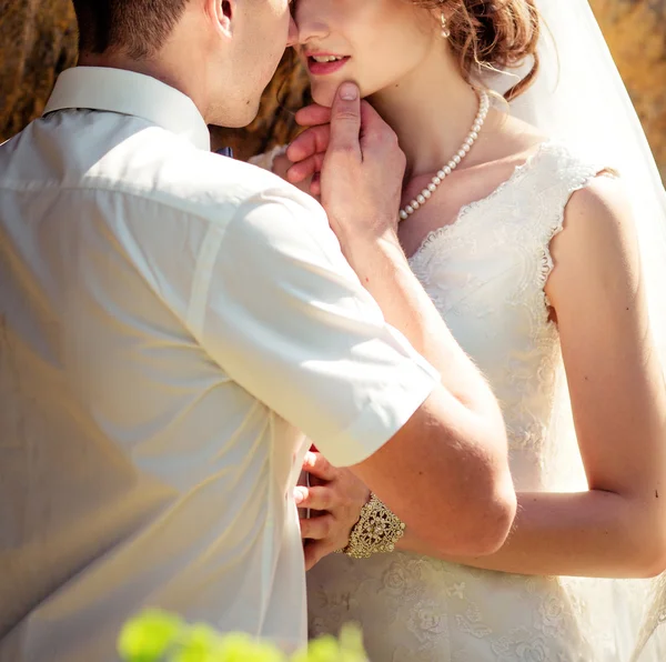 Bride and groom hugging — Stock Photo, Image