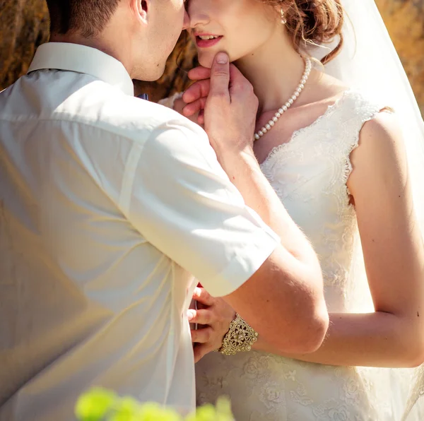 Sposa e sposo abbraccio — Foto Stock