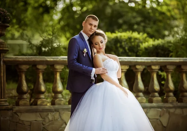 Beautiful bride and groom — Stock Photo, Image