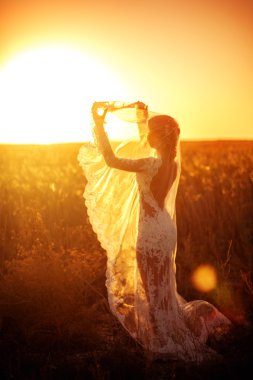 Gün batımı Field'da güzel gelin