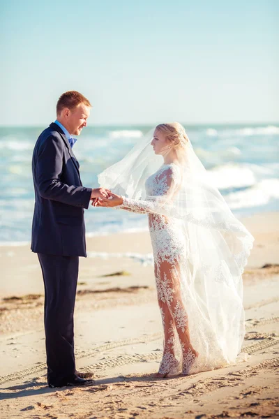 Novia y novio felices — Foto de Stock