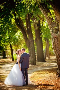 mutlu gelin ve damat