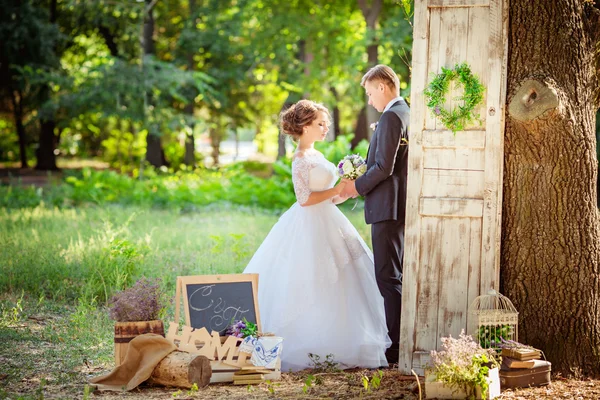 Felice sposa e sposo — Foto Stock