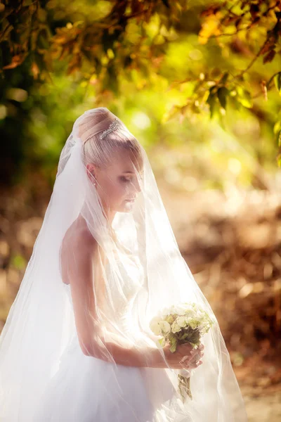 Krásná nevěsta v parku — Stock fotografie